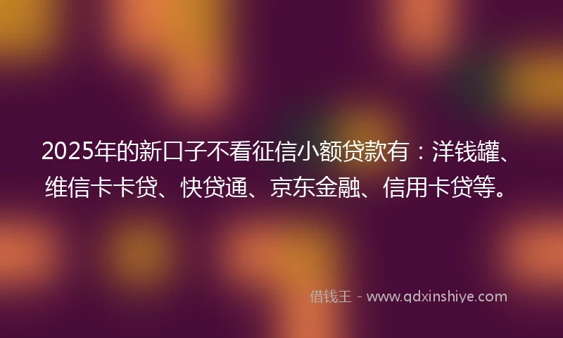 2025年的新口子不看征信小额贷款有：洋钱罐、维信卡卡贷、快贷通、京东金融、信用卡贷等。