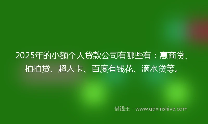 2025年的小额个人贷款公司有哪些有：惠商贷、拍拍贷、超人卡、百度有钱花、滴水贷等。