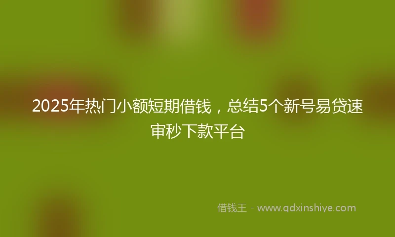 2025年热门小额短期借钱，总结5个新号易贷速审秒下款平台