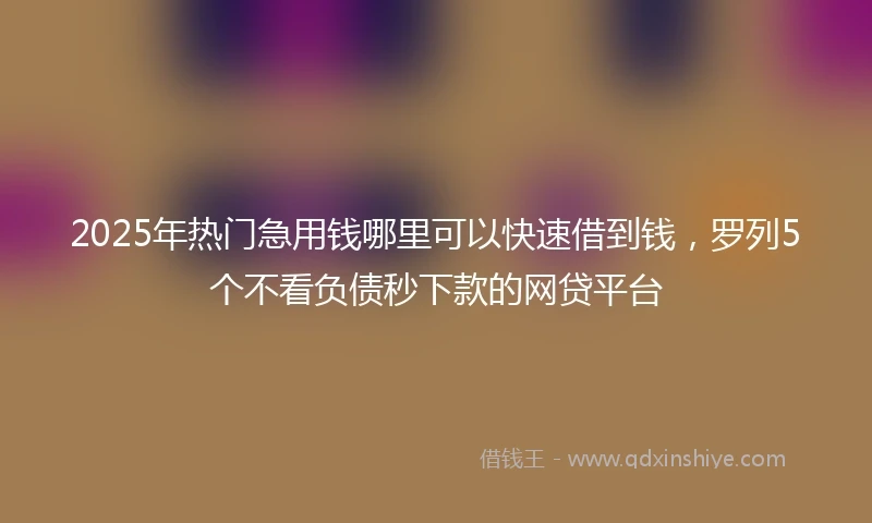 2025年热门急用钱哪里可以快速借到钱，罗列5个不看负债秒下款的网贷平台
