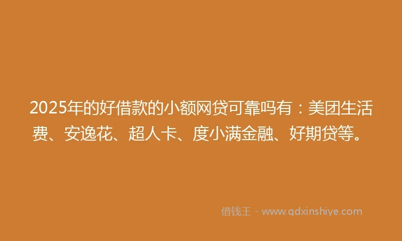 2025年的好借款的小额网贷可靠吗有：美团生活费、安逸花、超人卡、度小满金融、好期贷等。