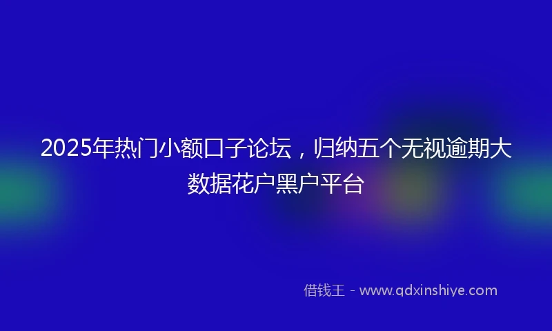 2025年热门小额口子论坛，归纳五个无视逾期大数据花户黑户平台