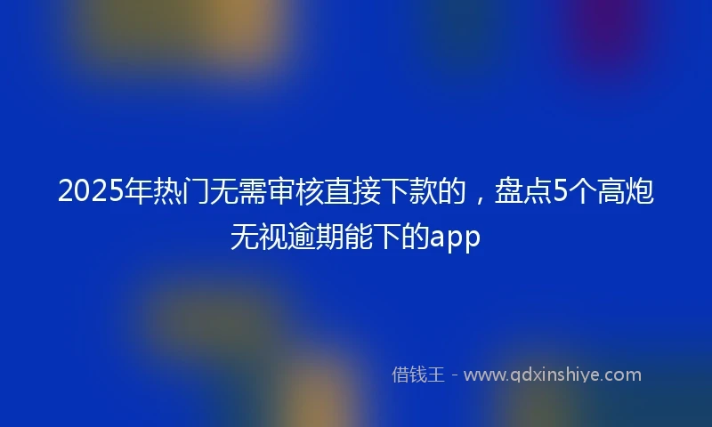 2025年热门无需审核直接下款的，盘点5个高炮无视逾期能下的app