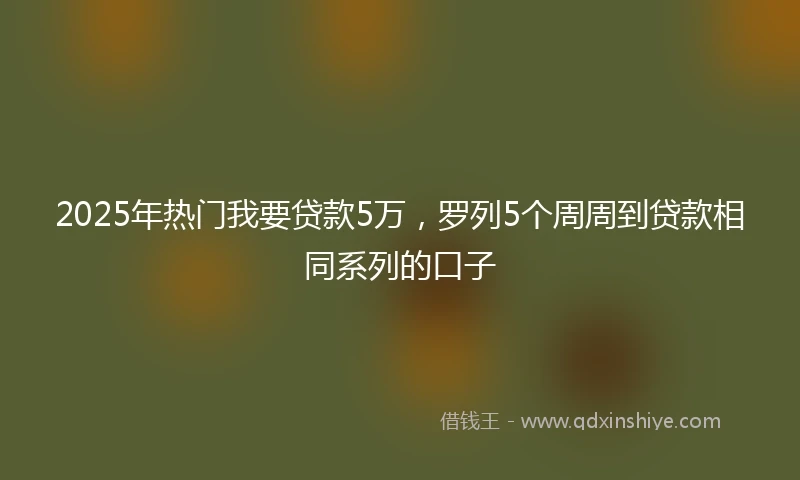 2025年热门我要贷款5万，罗列5个周周到贷款相同系列的口子