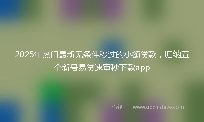 2025年热门最新无条件秒过的小额贷款，归纳五个新号易贷速审秒下款app