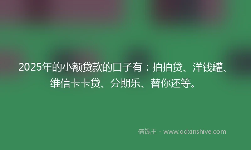2025年的小额贷款的口子有：拍拍贷、洋钱罐、维信卡卡贷、分期乐、替你还等。