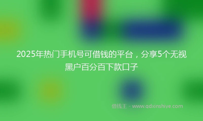 2025年热门手机号可借钱的平台，分享5个无视黑户百分百下款口子