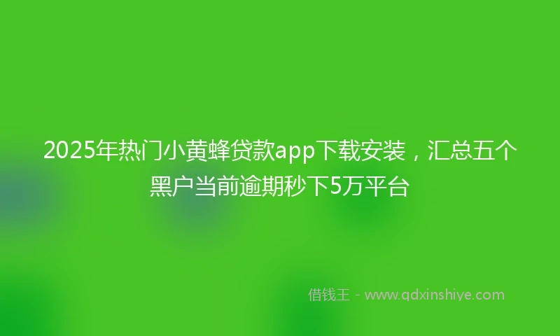 2025年热门小黄蜂贷款app下载安装，汇总五个黑户当前逾期秒下5万平台
