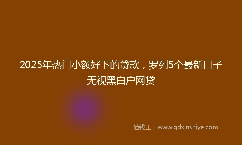 2025年热门小额好下的贷款，罗列5个最新口子无视黑白户网贷