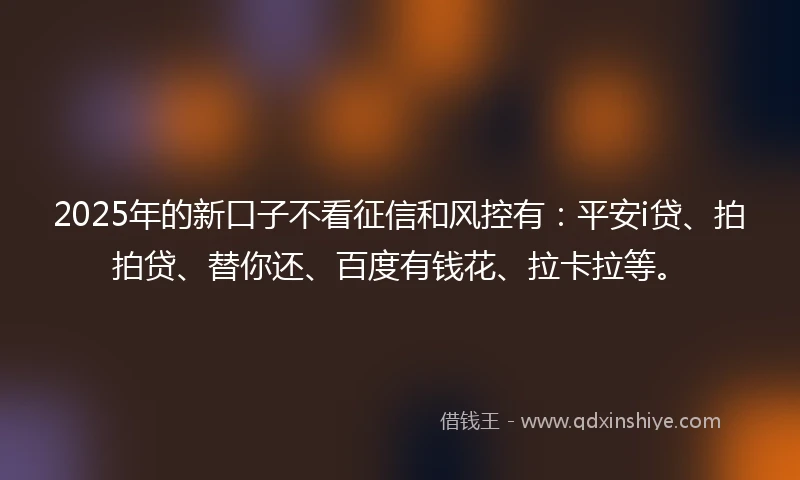 2025年的新口子不看征信和风控有：平安i贷、拍拍贷、替你还、百度有钱花、拉卡拉等。