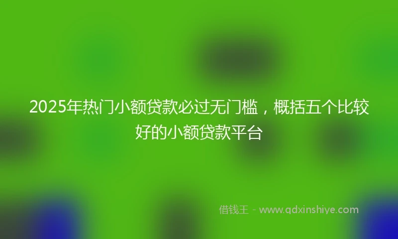 2025年热门小额贷款必过无门槛，概括五个比较好的小额贷款平台