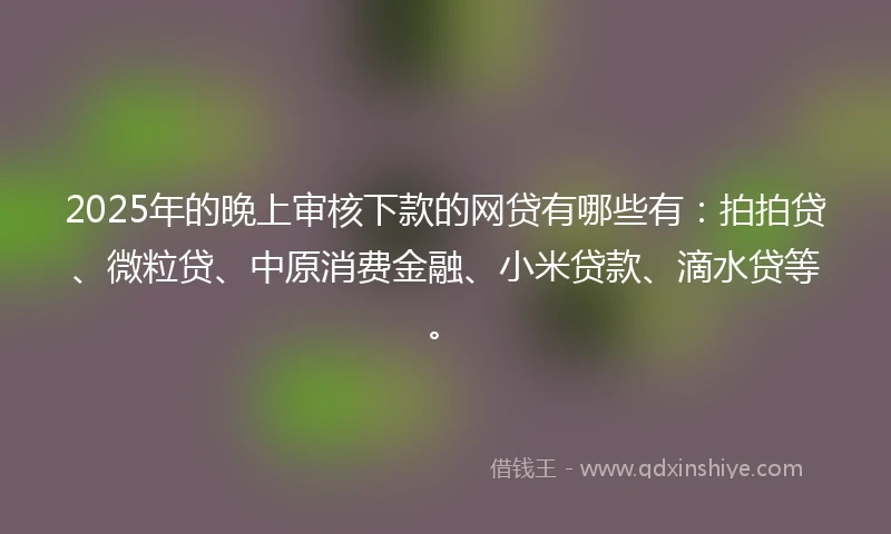 2025年的晚上审核下款的网贷有哪些有：拍拍贷、微粒贷、中原消费金融、小米贷款、滴水贷等。