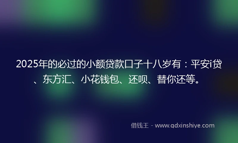 2025年的必过的小额贷款口子十八岁有：平安i贷、东方汇、小花钱包、还呗、替你还等。
