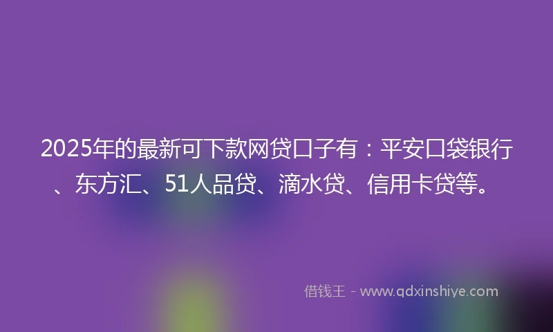 2025年的最新可下款网贷口子有：平安口袋银行、东方汇、51人品贷、滴水贷、信用卡贷等。