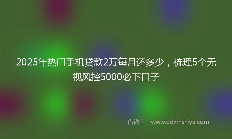 2025年热门手机贷款2万每月还多少，梳理5个无视风控5000必下口子