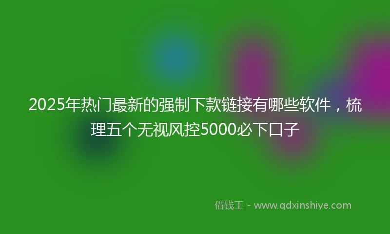 2025年热门最新的强制下款链接有哪些软件，梳理五个无视风控5000必下口子