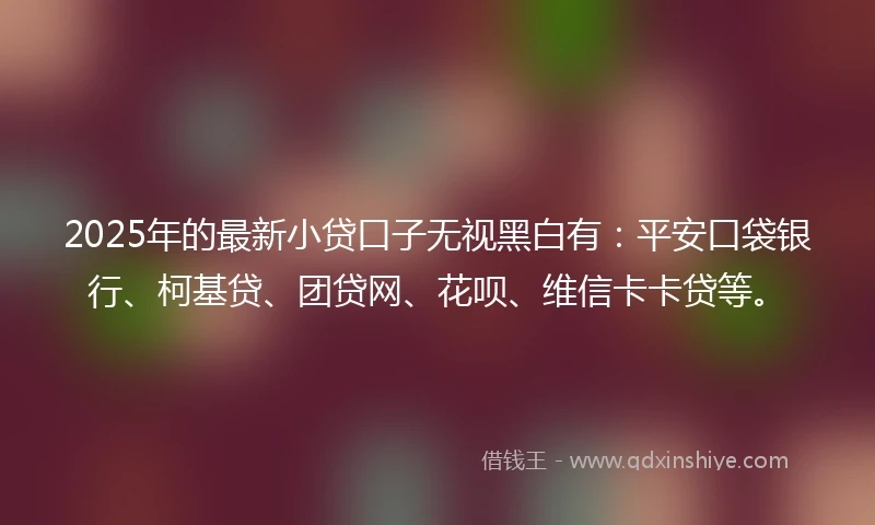 2025年的最新小贷口子无视黑白有：平安口袋银行、柯基贷、团贷网、花呗、维信卡卡贷等。