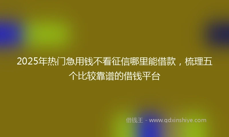 2025年热门急用钱不看征信哪里能借款，梳理五个比较靠谱的借钱平台