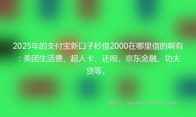 2025年的支付宝新口子秒借2000在哪里借的啊有：美团生活费、超人卡、还呗、京东金融、功夫贷等。