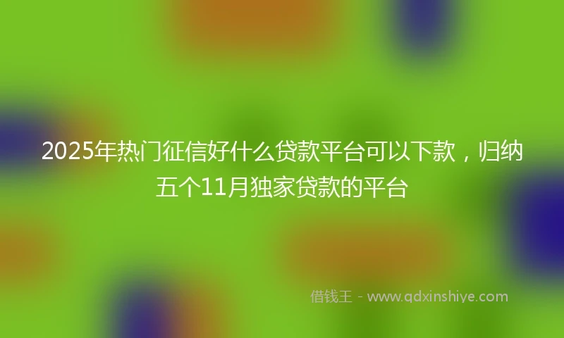 2025年热门征信好什么贷款平台可以下款，归纳五个11月独家贷款的平台