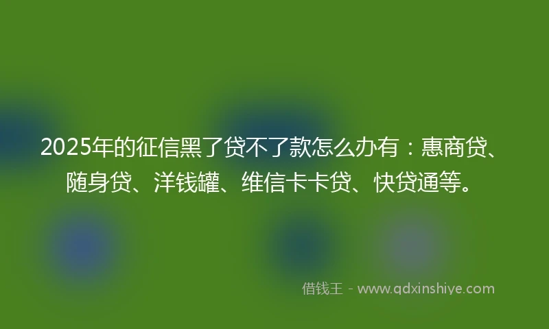 2025年的征信黑了贷不了款怎么办有:惠商贷、随身贷、洋钱罐、维信卡卡贷、快贷通等。