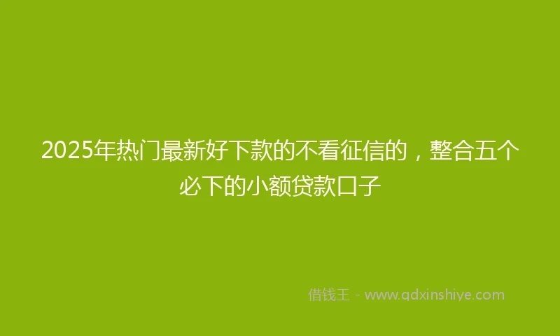 2025年热门最新好下款的不看征信的，整合五个必下的小额贷款口子