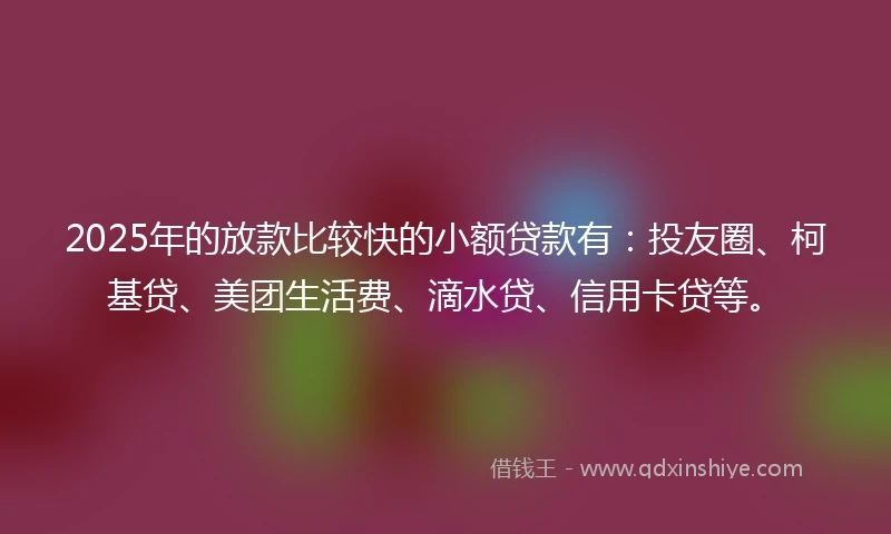 2025年的放款比较快的小额贷款有：投友圈、柯基贷、美团生活费、滴水贷、信用卡贷等。