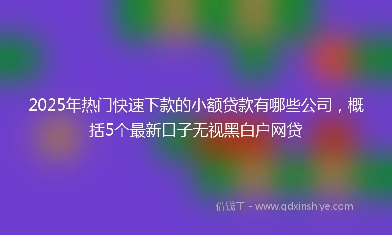 2025年热门快速下款的小额贷款有哪些公司，概括5个最新口子无视黑白户网贷