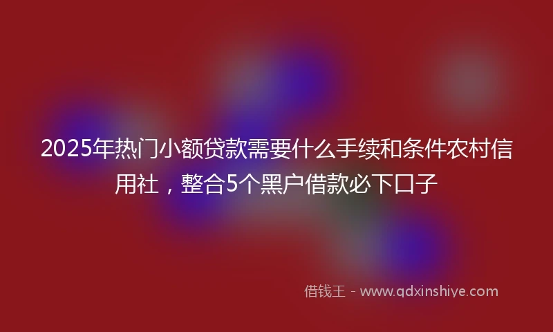 2025年热门小额贷款需要什么手续和条件农村信用社，整合5个黑户借款必下口子