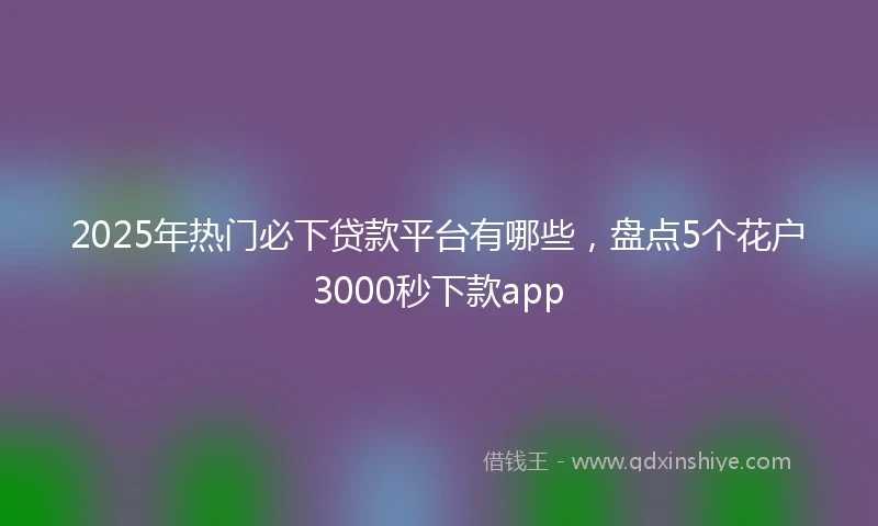 2025年热门必下贷款平台有哪些，盘点5个花户3000秒下款app
