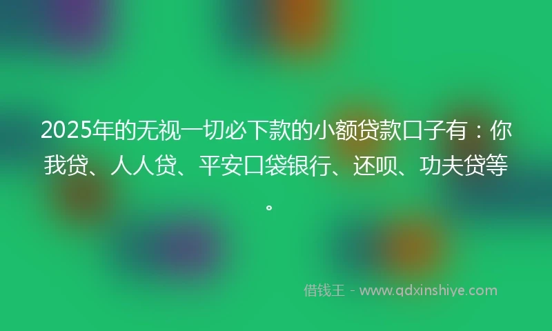 2025年的无视一切必下款的小额贷款口子有：你我贷、人人贷、平安口袋银行、还呗、功夫贷等。