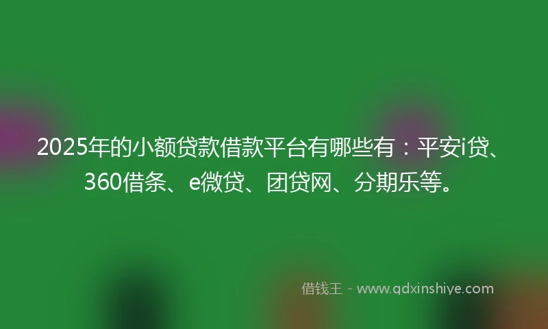2025年的小额贷款借款平台有哪些有：平安i贷、360借条、e微贷、团贷网、分期乐等。