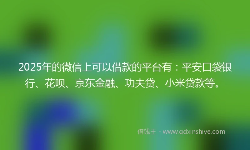 2025年的微信上可以借款的平台有：平安口袋银行、花呗、京东金融、功夫贷、小米贷款等。