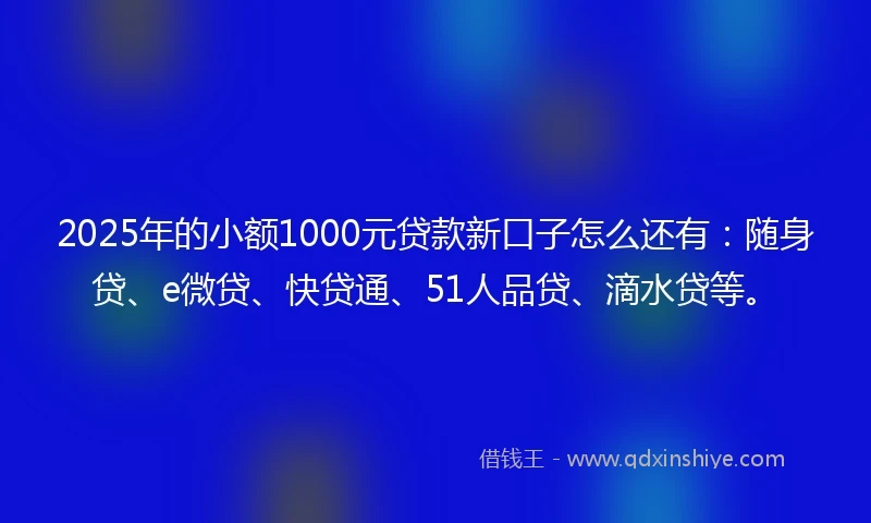 2025年的小额1000元贷款新口子怎么还有：随身贷、e微贷、快贷通、51人品贷、滴水贷等。