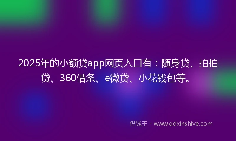 2025年的小额贷app网页入口有：随身贷、拍拍贷、360借条、e微贷、小花钱包等。