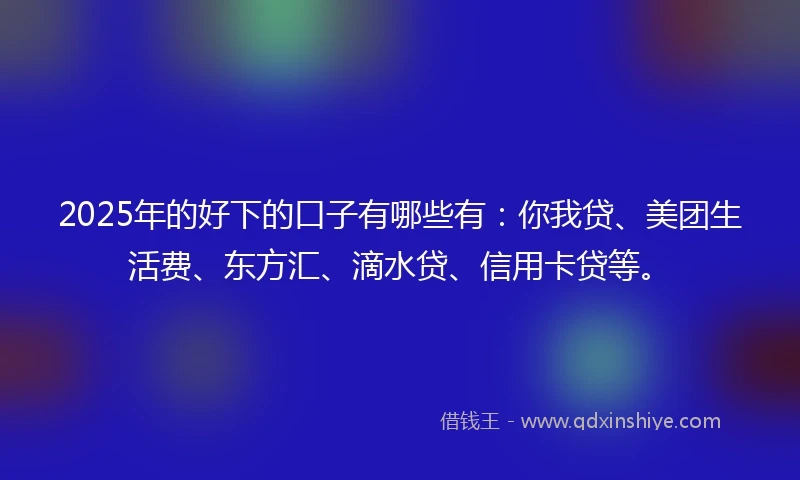 2025年的好下的口子有哪些有：你我贷、美团生活费、东方汇、滴水贷、信用卡贷等。