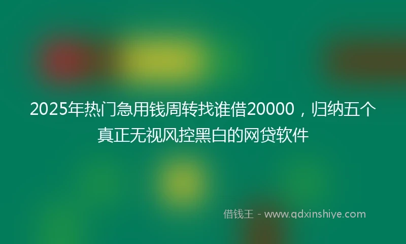2025年热门急用钱周转找谁借20000，归纳五个真正无视风控黑白的网贷软件