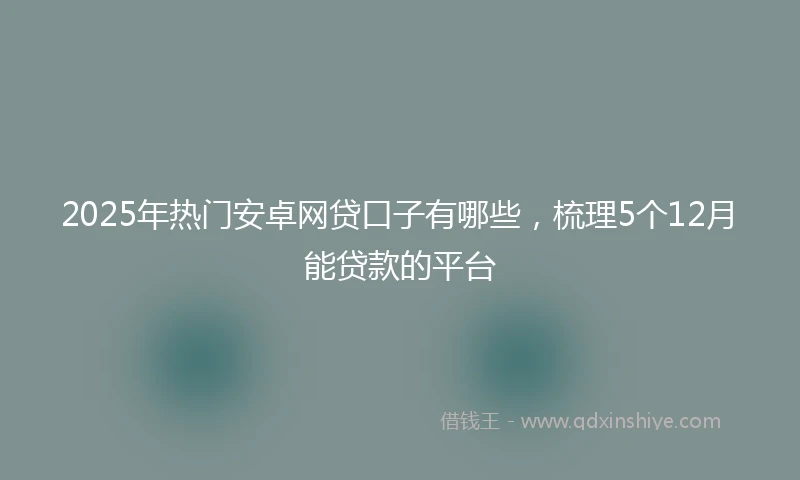 2025年热门安卓网贷口子有哪些，梳理5个12月能贷款的平台