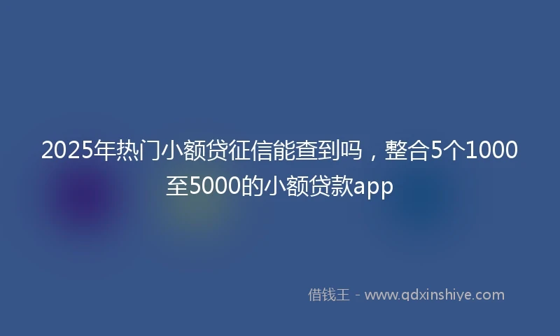 2025年热门小额贷征信能查到吗，整合5个1000至5000的小额贷款app