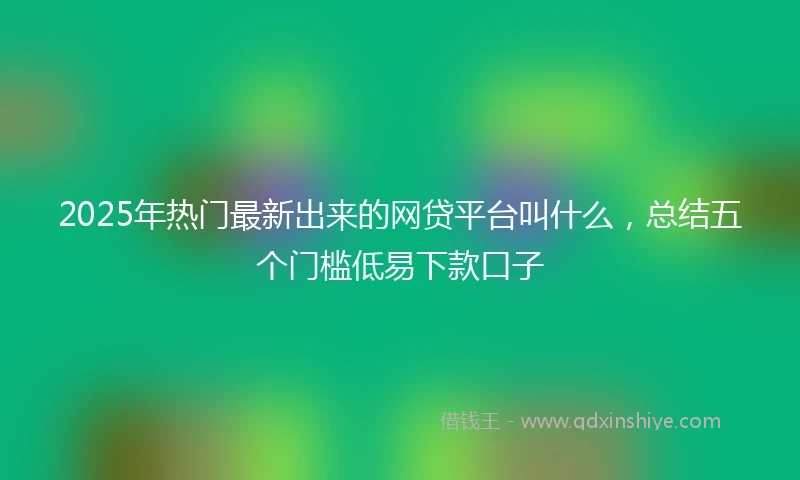 2025年热门最新出来的网贷平台叫什么，总结五个门槛低易下款口子