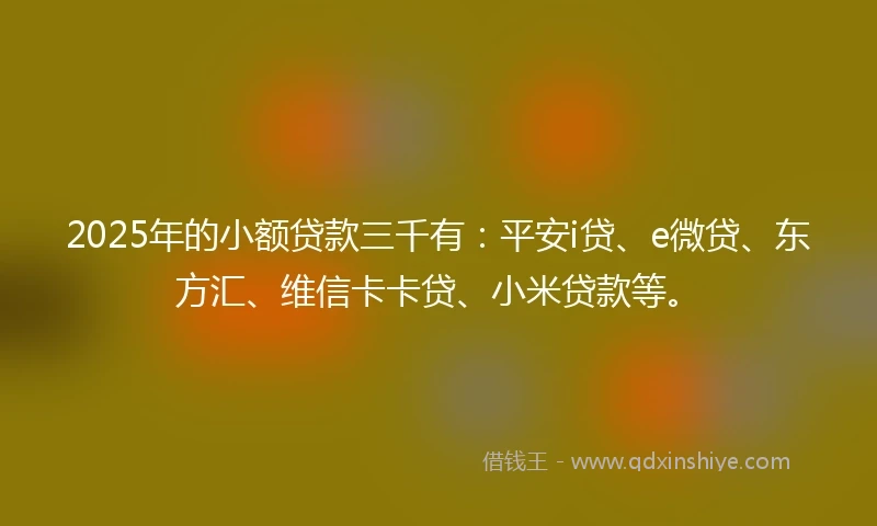 2025年的小额贷款三千有：平安i贷、e微贷、东方汇、维信卡卡贷、小米贷款等。