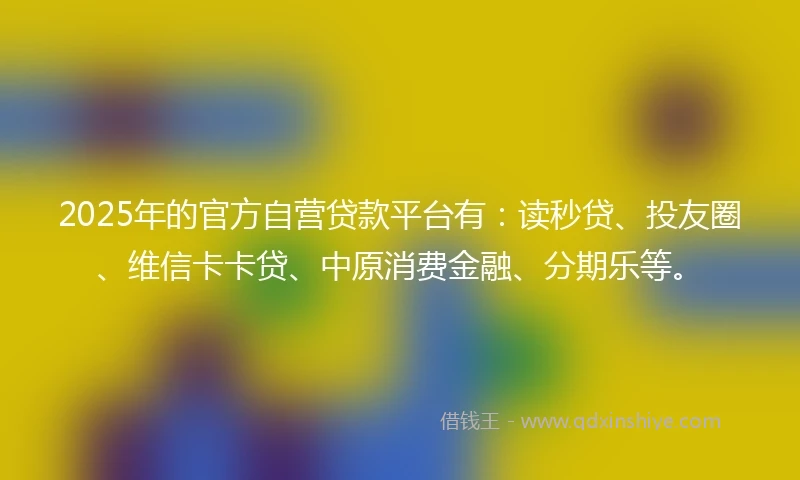 2025年的官方自营贷款平台有：读秒贷、投友圈、维信卡卡贷、中原消费金融、分期乐等。