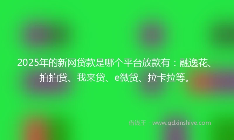 2025年的新网贷款是哪个平台放款有：融逸花、拍拍贷、我来贷、e微贷、拉卡拉等。