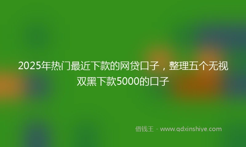 2025年热门最近下款的网贷口子，整理五个无视双黑下款5000的口子