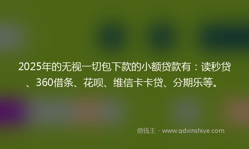 2025年的无视一切包下款的小额贷款有：读秒贷、360借条、花呗、维信卡卡贷、分期乐等。