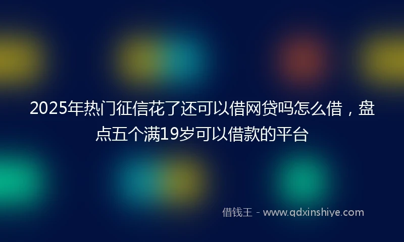 2025年热门征信花了还可以借网贷吗怎么借，盘点五个满19岁可以借款的平台