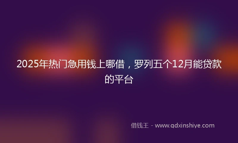 2025年热门急用钱上哪借，罗列五个12月能贷款的平台