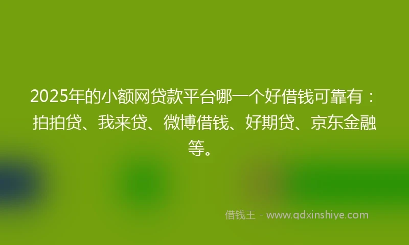 2025年的小额网贷款平台哪一个好借钱可靠有：拍拍贷、我来贷、微博借钱、好期贷、京东金融等。