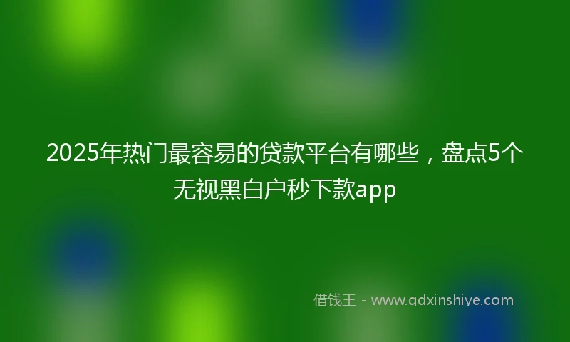2025年热门最容易的贷款平台有哪些，盘点5个无视黑白户秒下款app