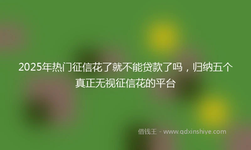 2025年热门征信花了就不能贷款了吗，归纳五个真正无视征信花的平台